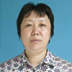 王东红
