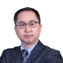 赵辉