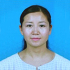 龙燕