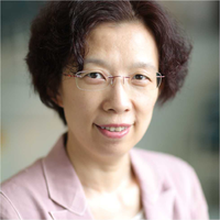 杨泓