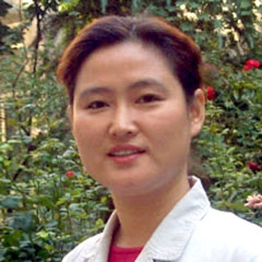刘敏