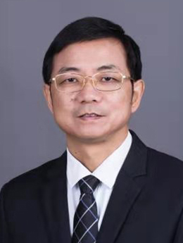 杨晓晖
