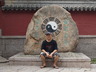 李晓斌