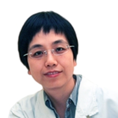 汪枫桦