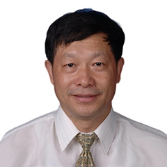 巢月根