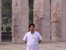 杨飞