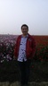 杨旭东