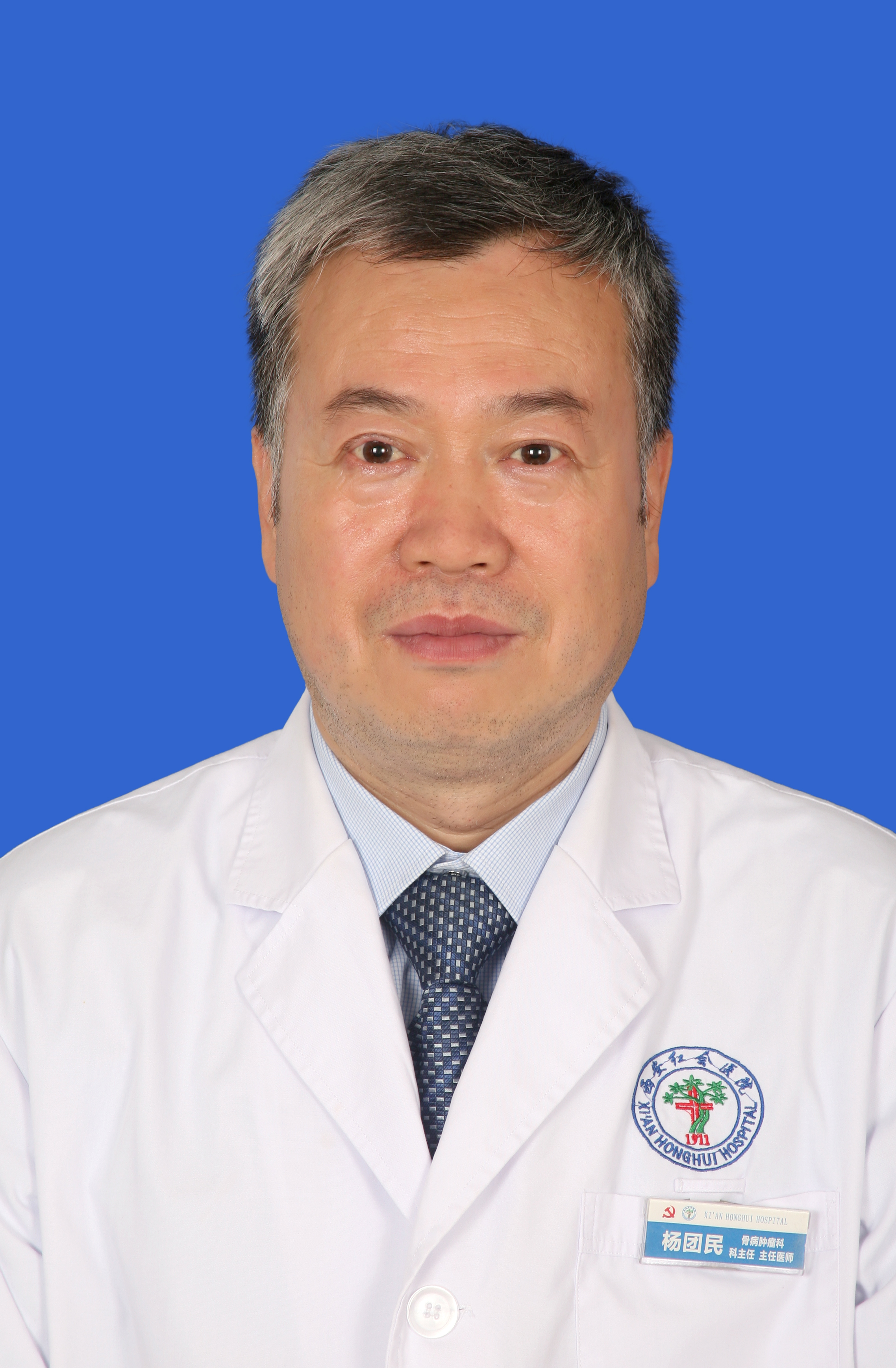 杨团民