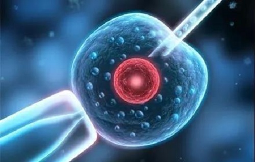 单身女性可以试管生孩子吗 单身女性可以试管生孩子吗