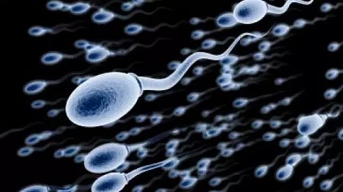 试管婴儿三代的费用 试管婴儿三代的费用