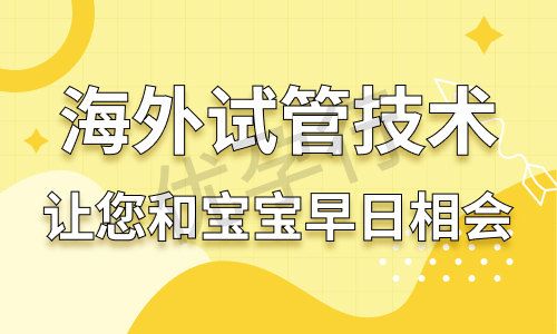 在泰国做试管婴儿单身女性的费用高吗?自己去还是找机构好? 在泰国做试管婴儿单身女性的费用高吗?自己去还是找机构好?