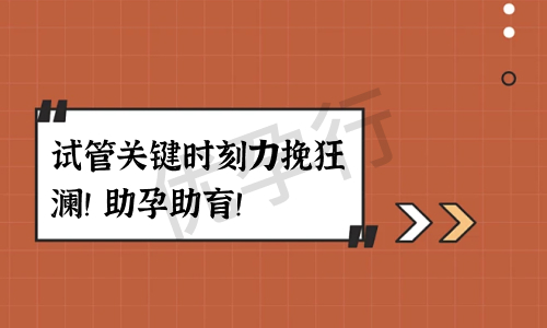 杭州三代试管婴儿医院排名出炉?2025年医院试管收费详情一览! 杭州三代试管婴儿医院排名出炉?2025年医院试管收费详情一览!