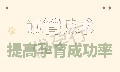 深圳单身试管婴儿必看攻略?从前期准备到费用预算! 深圳单身试管婴儿必看攻略?从前期准备到费用预算!