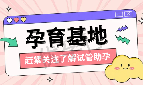 泰国做试管婴儿需要多少钱呢?哪家医院的医生团队最专业? 泰国做试管婴儿需要多少钱呢?哪家医院的医生团队最专业?