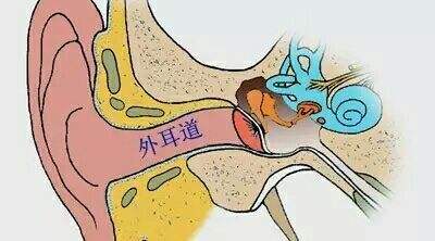 外耳道真菌病