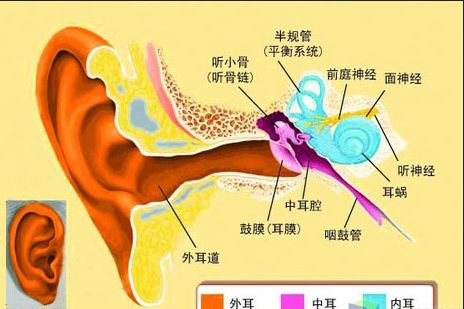 外耳道胆脂瘤