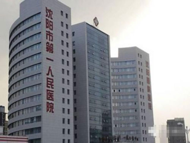 沈阳市第一人民医院 沈阳市第一人民医院