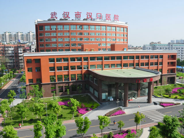 武汉市汉口医院 武汉市汉口医院