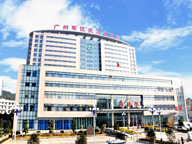 中国人民解放军广州军区武汉总医院