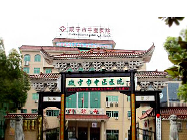 咸宁市中医医院