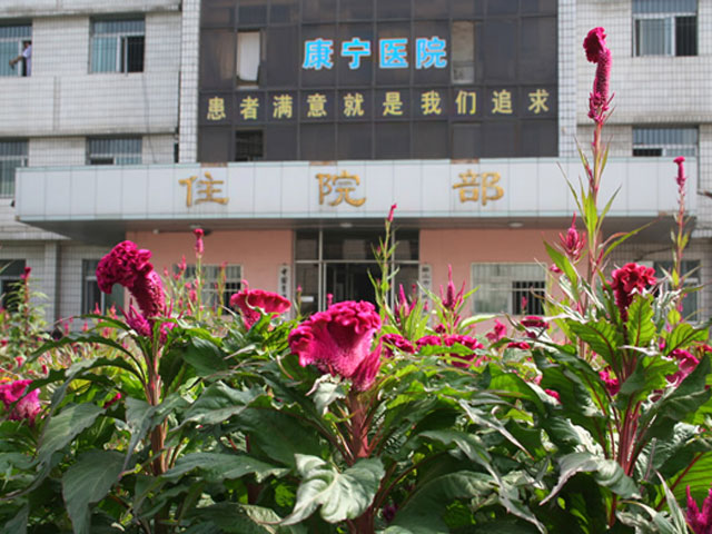 鞍山市康宁医院 鞍山市康宁医院