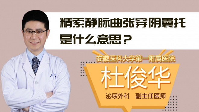 精索静脉曲张穿阴囊托是什么意思?