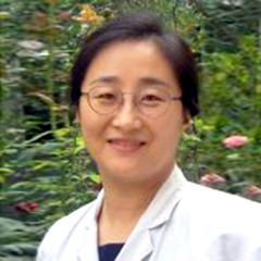 段岚桦